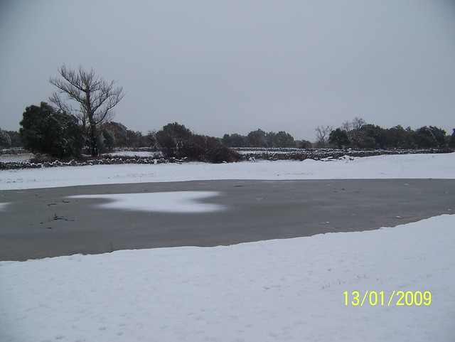 laguna de los Barreros, helada