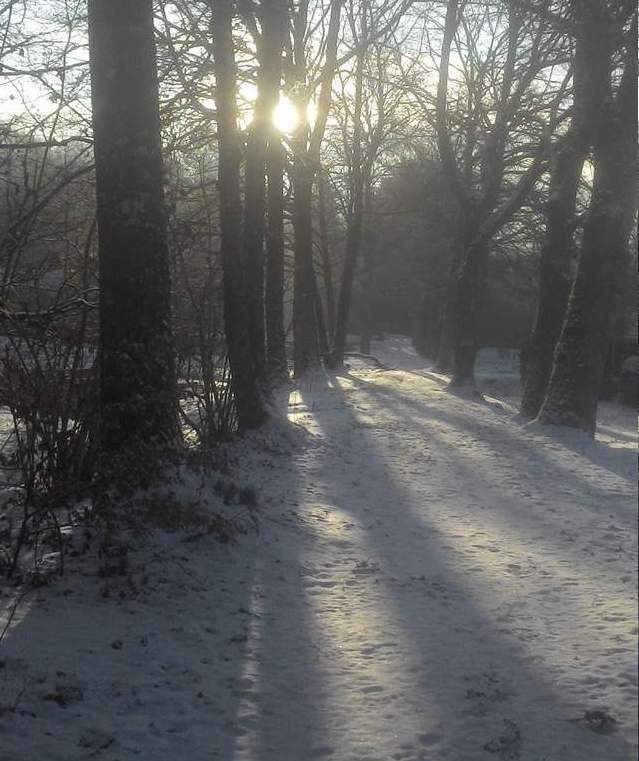 le chemin du tacot sous la neige