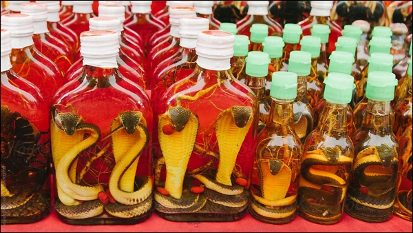 Snake medicine at a Laos nightmarket