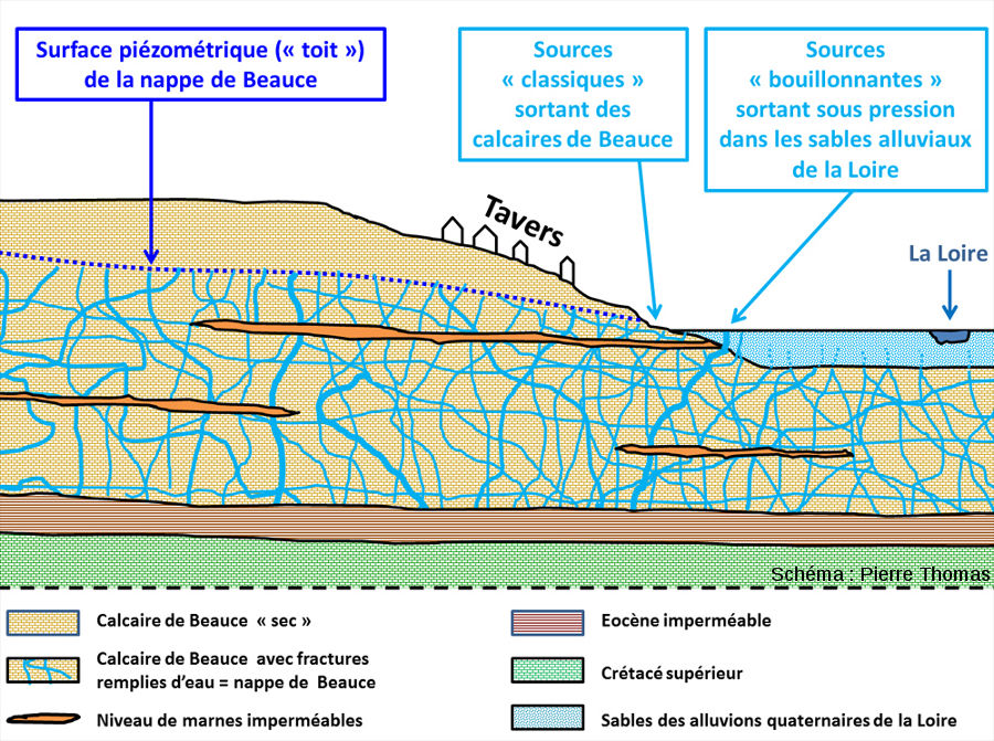 Coupe du secteur de Tavers