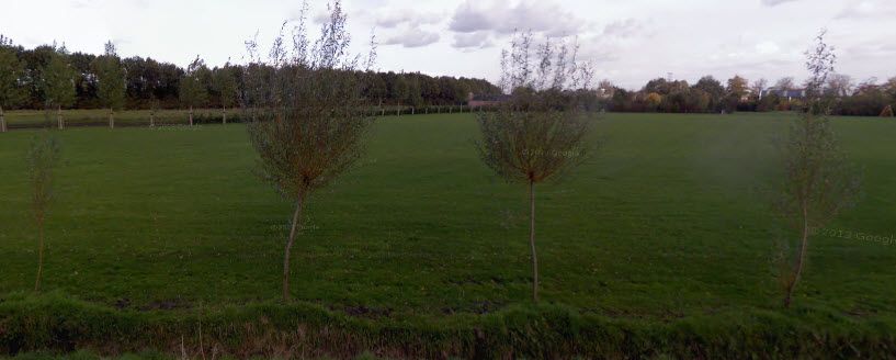  photo 2014-10-03_11-10-32_zps8dbb0d26.jpg