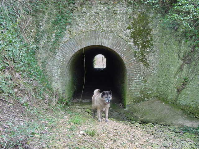 Arche du Mulet (Etat en 2004)