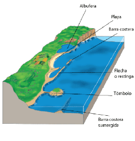 Geomorfología 4ºESO: El modelado costero