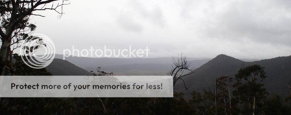  photo P4262822 Medium.jpg