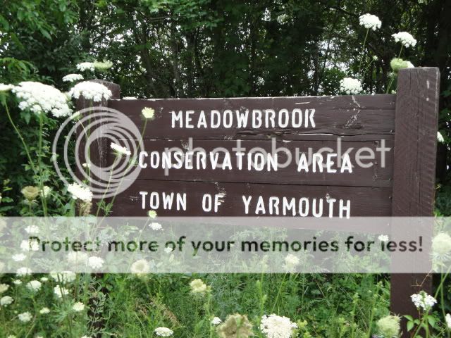 MEADOWBROOK Conservation