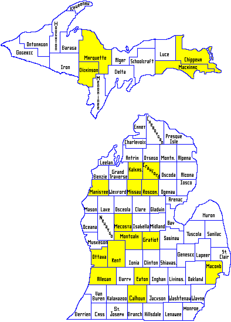 Gold In Michigan Map TB1RBPJ) Travel Bug Dog Tag   MI Vanity Plate Racer   GOLD