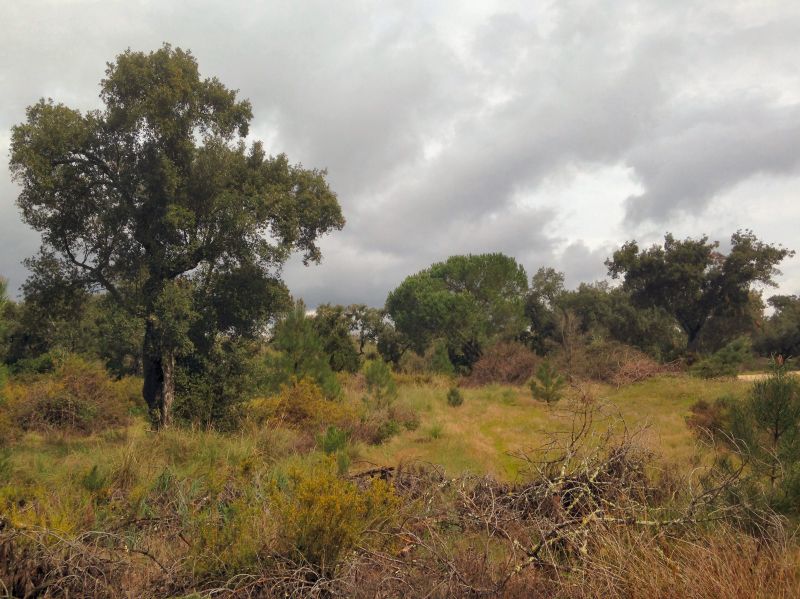  photo photo12_Montado_zpsd4f3fb5a.jpg