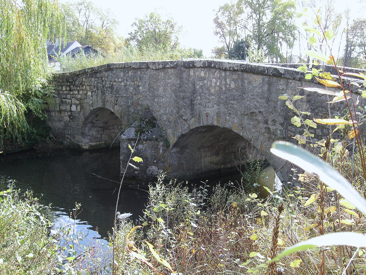 Le pont médiéval sur la Bionne