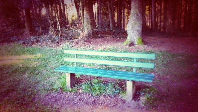 Die Bank der Träume