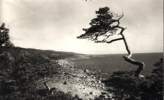 Suursaaren länsirannikkoa 1935