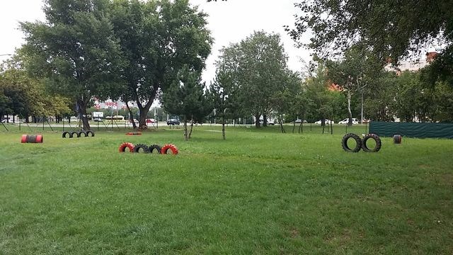 Prekážky v psom parku Petržalka