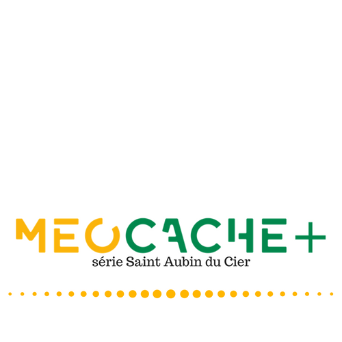 MeoCache+
