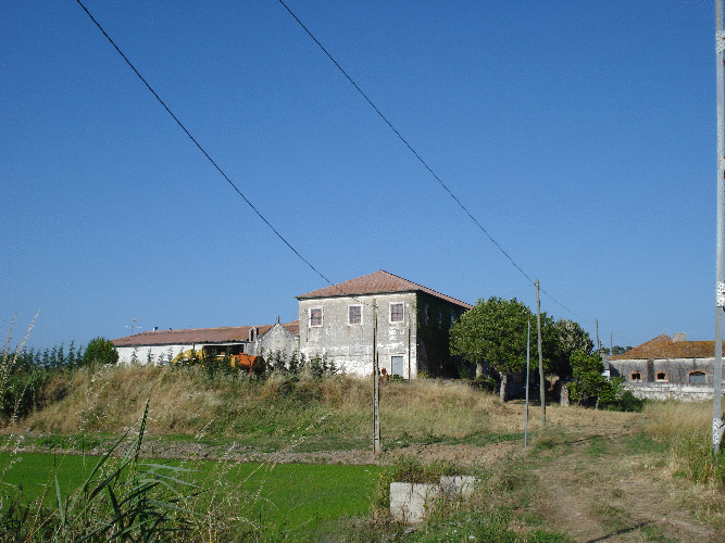 Quinta do seminário 2
