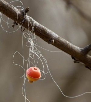  photo 5DC948F3-7212-4A4A-8CE1-D4EBE538ACEE_zpsscxsj2no.jpg