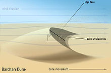Bildresultat fÃ¶r barchan dunes