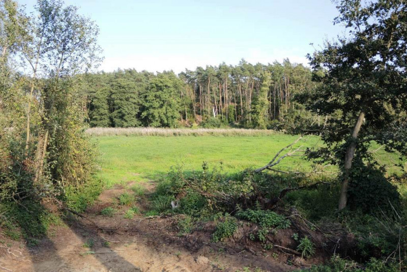 Wzgórza nad doliną Samy, prawy brzeg, autor: A. Skowronek
