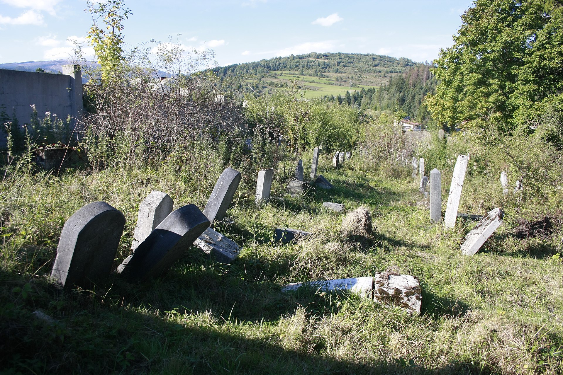 zdjęcie cmentarza