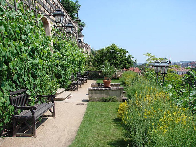 Charakter horních teras Velká Pálffyovská zahrada