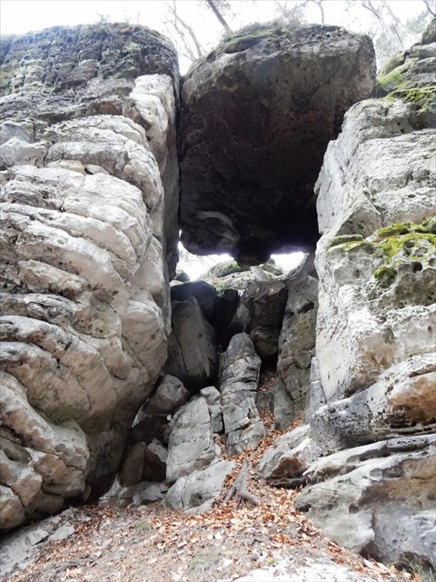 varianta D