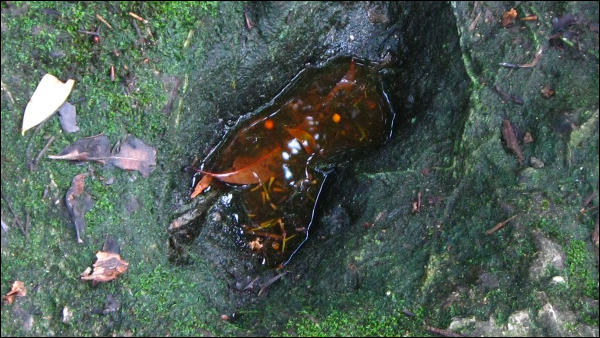 The footprint of Hang Tuah