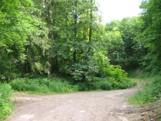 In der Bildmitte: Der letzte erhaltene Schutzwall