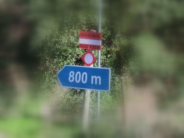 De Alqueva para Portel