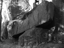 mx_bw1_small.jpg - 34776 Bytes