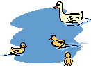 animated-duck-image-0098