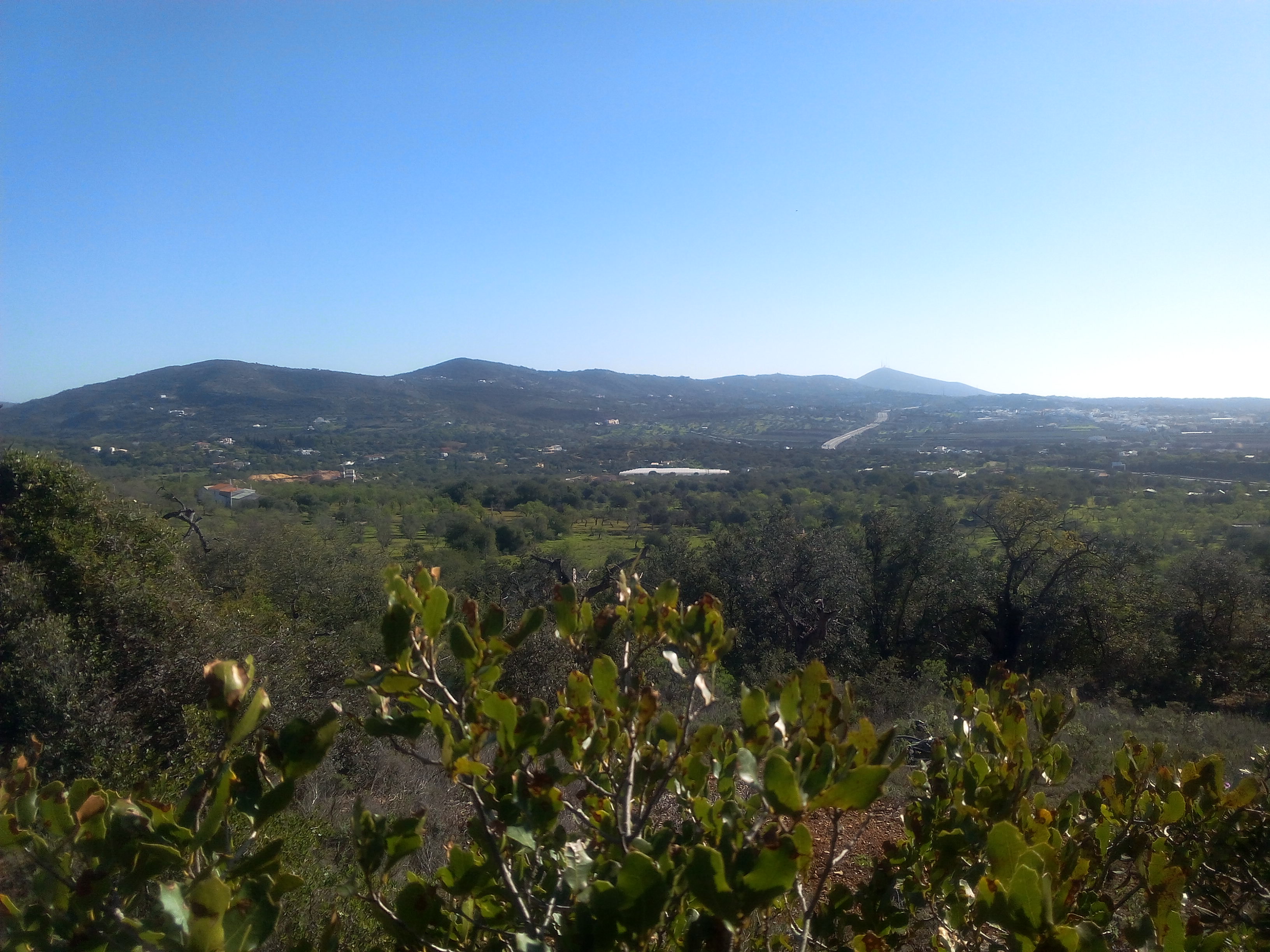 Vista Este