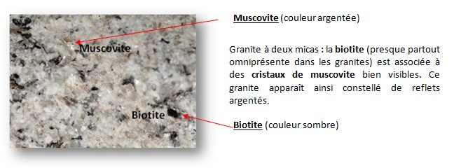 biotite et muscovite expli