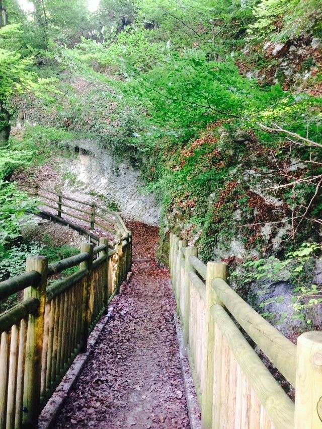  photo 5CC923B7-2271-4B85-9FD4-3A6E4872A8B0_zpsour5szfa.jpg