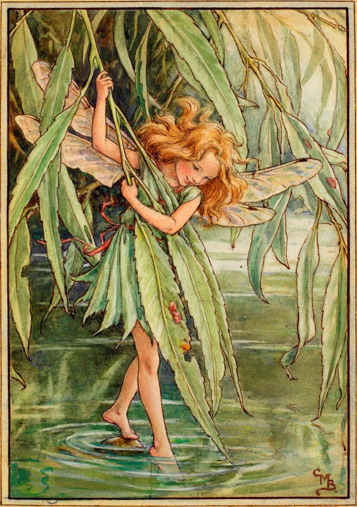 The Willow Fairy