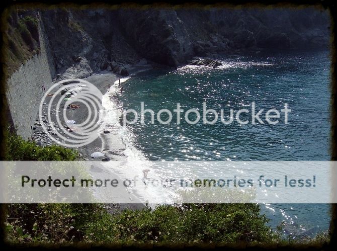 photo afe9e031-1151-4f7c-b50d-1f2cfdc8f9c1.jpg