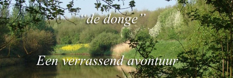  photo 33_zps7e4aa562.jpg