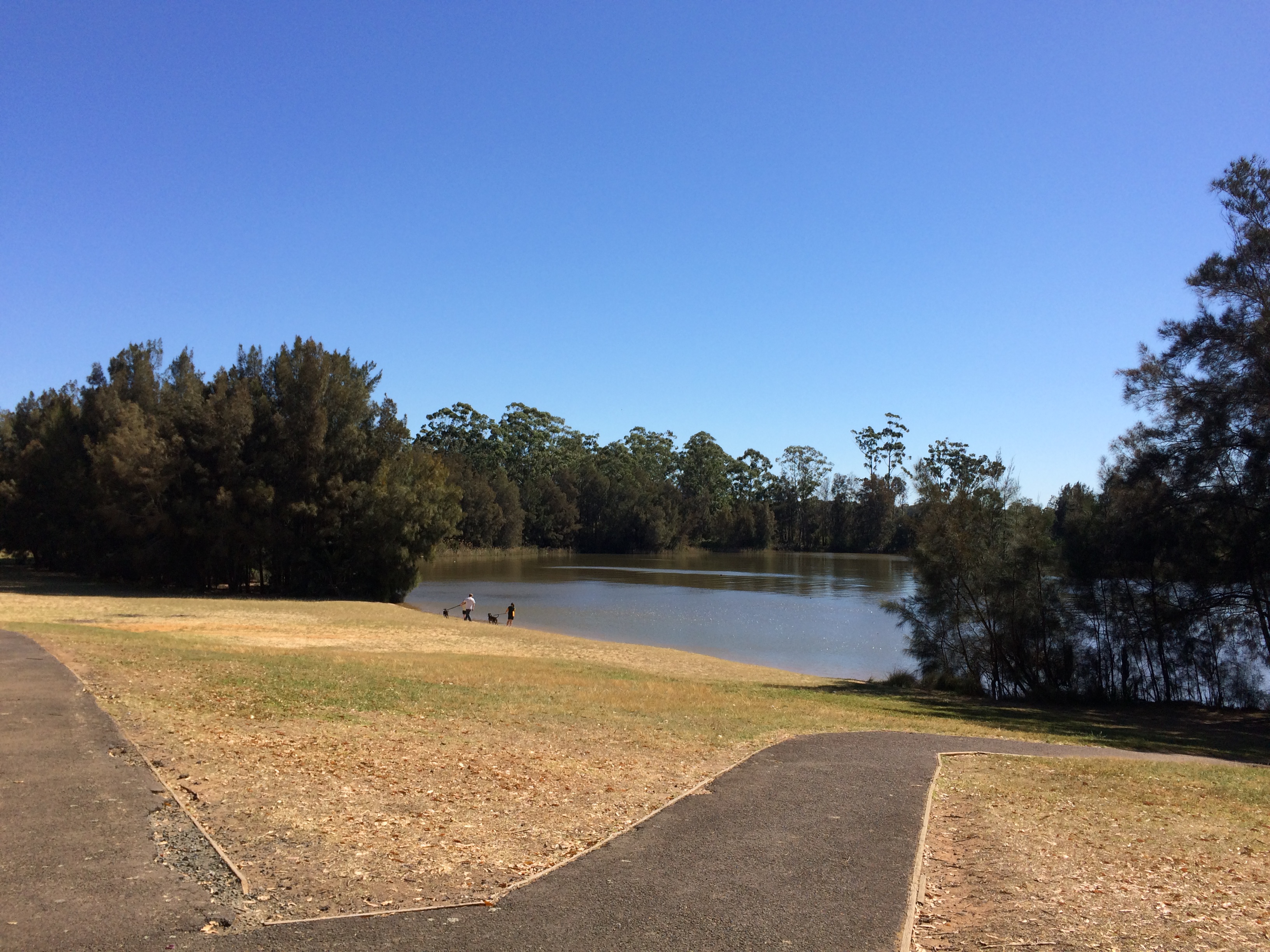 Angle Park