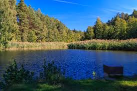 Výsledek obrázku pro farářský rybnÃk