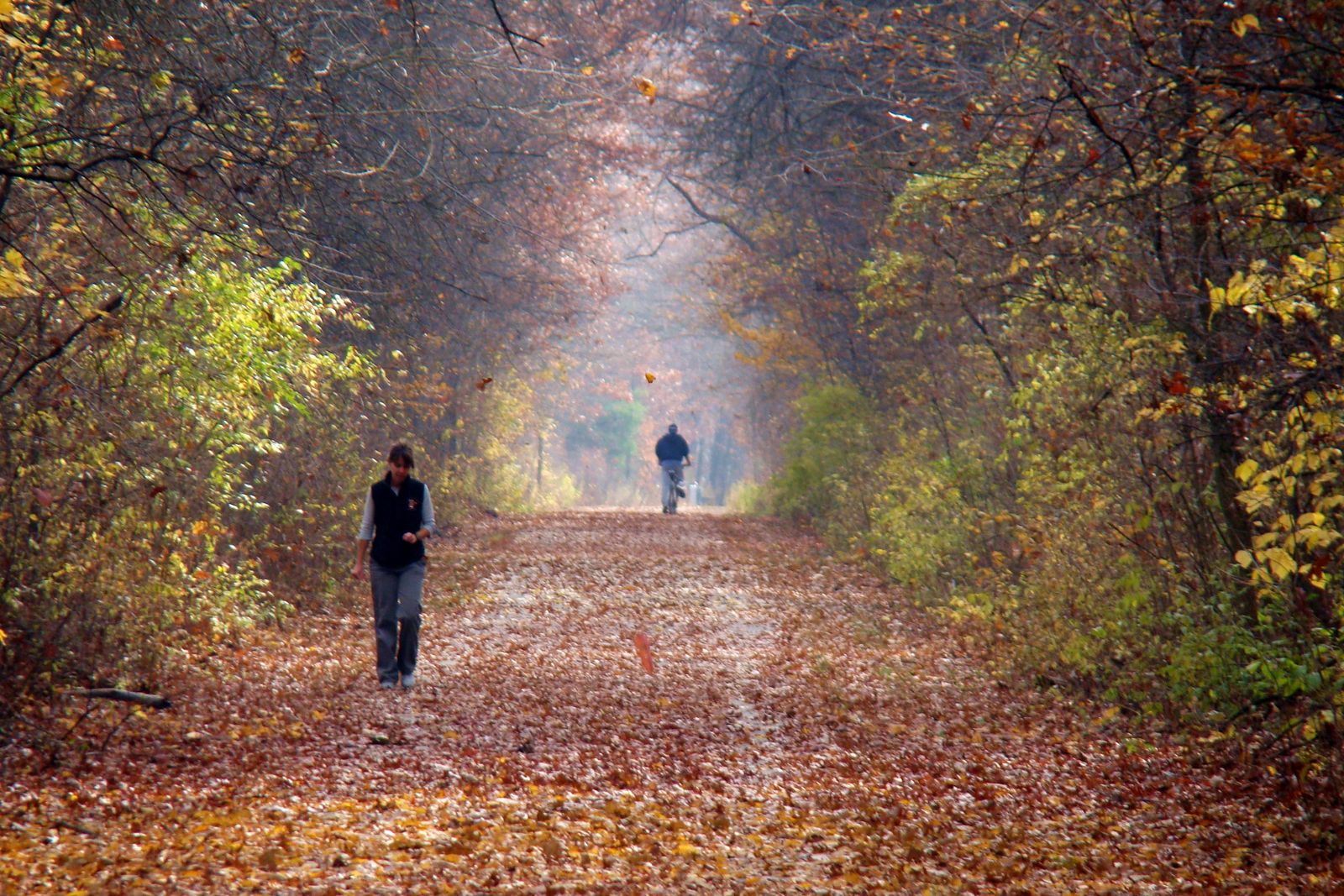 Park photo goes here.  If missing, please inform CO