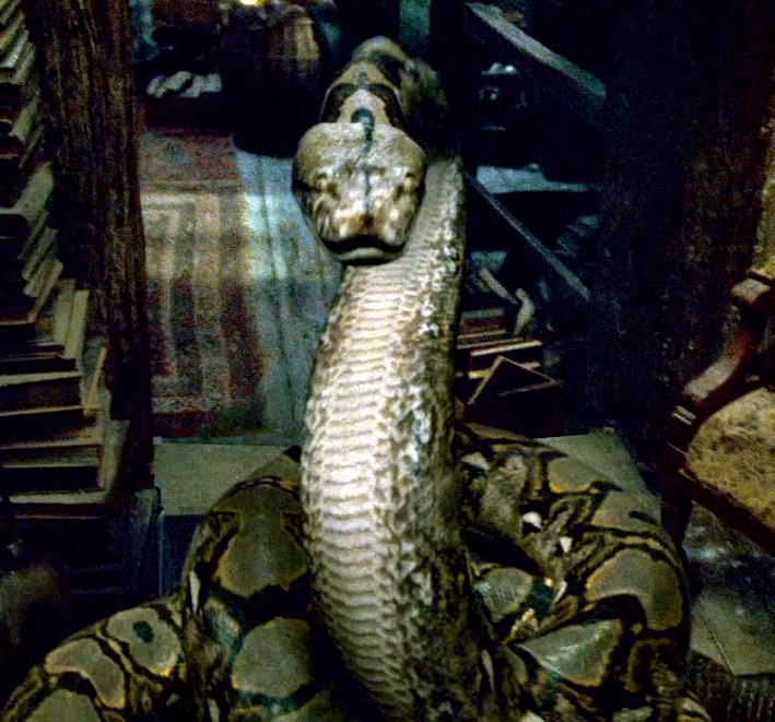 Snake, Harry Potter Wiki