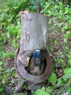 Baum mit Stahlträger