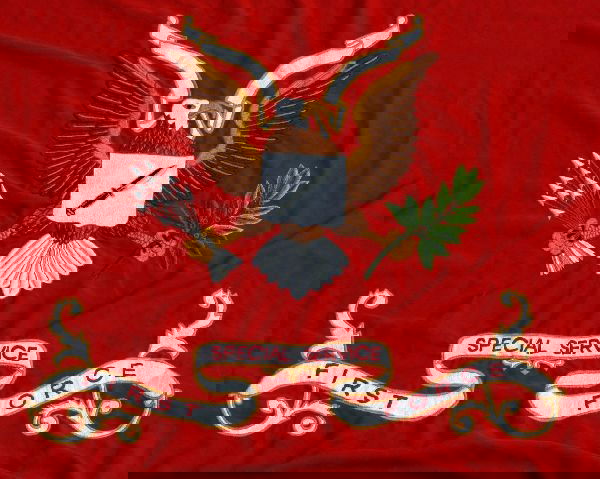 Special service 4. Тайные покупатели 4service. Глинкова гвардия флаг. Special service. Special service 4.