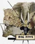 The Big Five