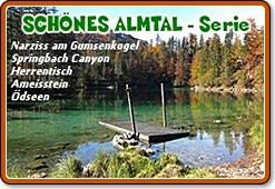 Banner: Schönes Almtal - Serie