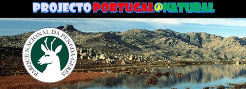 http://portugal_natural.blogs.sapo.pt/