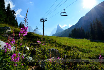 Pralognan la Vanoise - Savoie