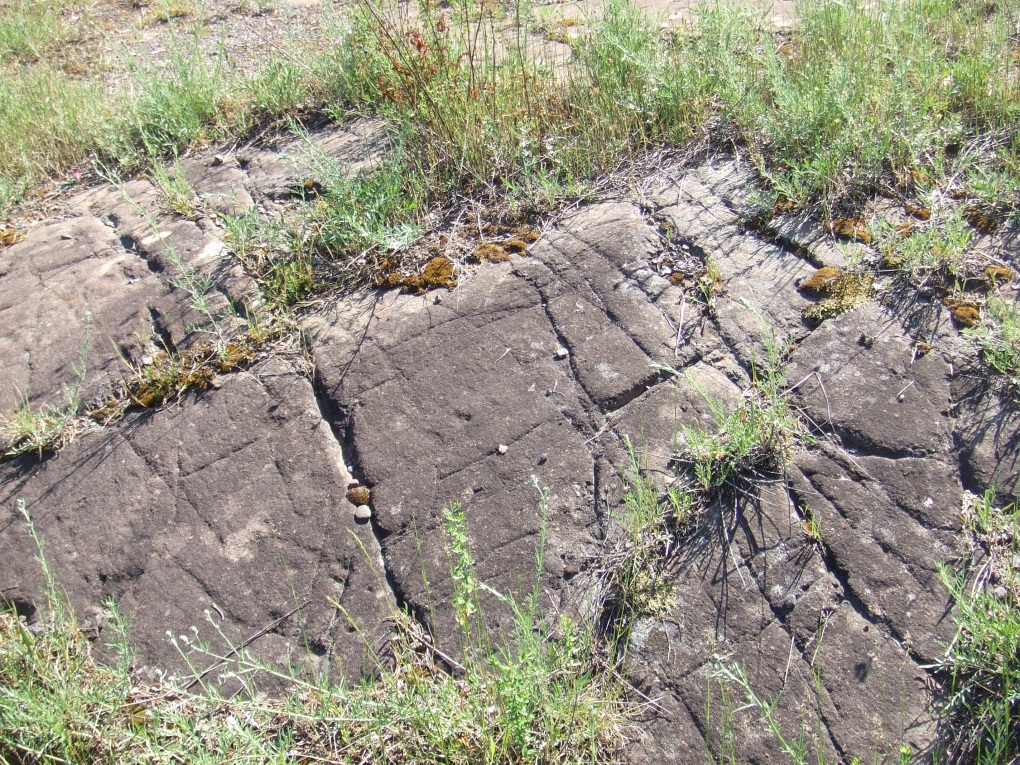 Glacial Striations 2