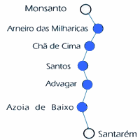 Caminhos do tejo