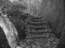 mx_bw3_small.jpg - 37138 Bytes