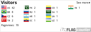 Flag Counter