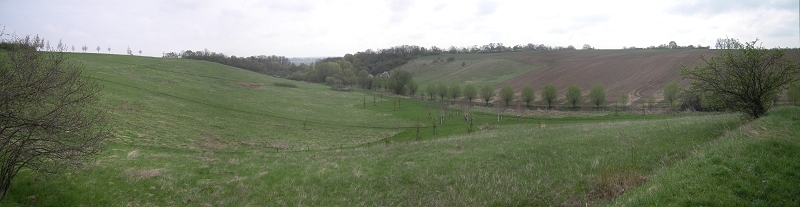 Frühjahr im Stadtpark