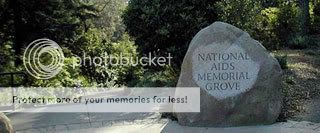 Aids Memorial Grove